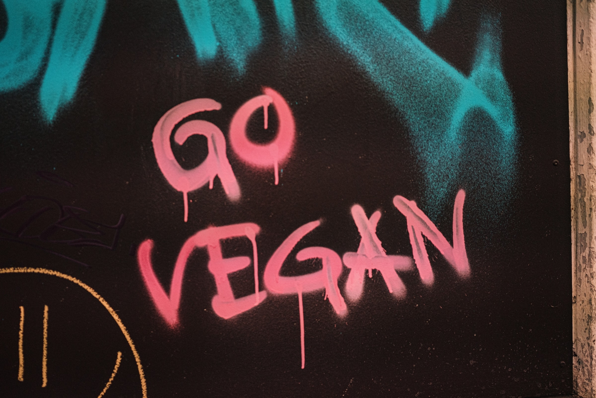 vegan-flex