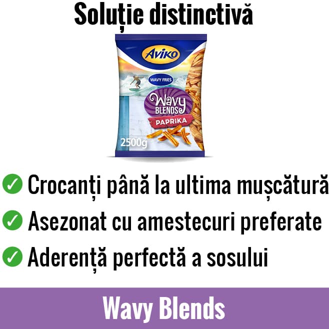 AVFS-240194-01 House of Fries - New Concept - Image Block - 658x658px2 - RO