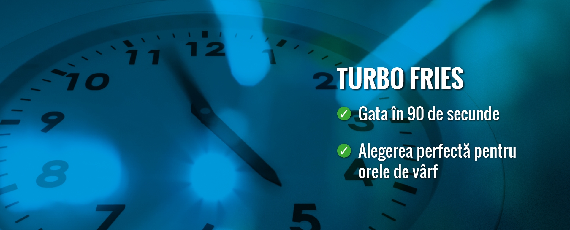 avfs-240193-04_house_of_fries_website_-_operations_-_solution_page_turbo_fries_-_image_block_-_1920x775px_-_ro.jpg